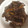 ♪あじゅ♪'s cooksnap of when they made 牛肉の旨みがgoodなぴらごぼう.