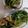 ほのりんママさん's cooksnap of when they made 簡単！ちくわとほうれん草の温サラダ🥗.