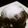nishigood's cooksnap of when they made 卵なし！蒸しパンでチョコがけケーキ.
