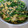 てるともまま's cooksnap of when they made こまつなたまの胡麻マヨ和え.
