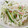あんのひなめ's cooksnap of when they made 簡単☆カニカマ大根のマヨサラダ.
