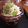 みみんご。's cooksnap of when they made スライサーだけ！新たまねぎで和風マリネ♪.