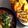 ぞう☆ぞう's cooksnap of when they made フライパンで焼きたてな☆ナン.