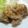 コンフリー's cooksnap of when they made 鶏胸肉のソテー　ねぎソースがけ.