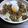 翔たんママ's cooksnap of when they made ウマッ！豚のショウガ焼きマヨキャベ丼.