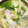 アカウント's cooksnap of when they made 簡単☆白菜と豚の重ね鍋.