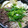 クック8148's cooksnap of when they made 割り下から作る！すき煮風すき焼き.