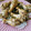 かわゆう1211's cooksnap of when they made 鶏のさっぱり煮.