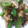 sonop's cooksnap of when they made 簡単！ししとうの炒め物.