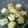 maruru-nn's cooksnap of when they made 菜の花とはんぺんのジェノベーゼ和え.