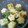 maruru-nn's cooksnap of when they made 菜の花とはんぺんのジェノベーゼ和え.