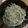 なおだいすけ's cooksnap of when they made おつまみサラダ！えのきと大根の香り和え.