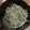 なおだいすけ's cooksnap of when they made おつまみサラダ！えのきと大根の香り和え.