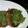 ぺぺろんちょ's cooksnap of when they made 青じそ大根おろしソース♪.