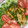 pumo's cooksnap of when they made ピーマンとエリンギのスタミナ炒め.