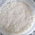 Galletita's cooksnap of when they made ◆りんご酵母 中種仕込み パン.