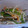 ばななっぺ's cooksnap of when they made 簡単♪ししゃもと野菜の南蛮漬け.