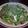 えすきも's cooksnap of when they made かぶそぼろ.