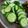 akilondon's cooksnap of when they made 【塩麹】あり合わせ野菜のお漬け物.