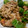 goasan's cooksnap of when they made 柿入り豚のしょうが焼き.