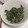 きらり流れ星's cooksnap of when they made ほうれん草の胡麻和え.