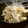 らんぴん's cooksnap of when they made ♬栄養たっぷり高野豆腐のとろりん卵とじ♪.