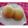 こずっぺ's cooksnap of when they made かぼちゃの煮物でおまんじゅう.