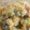 iketa's cooksnap of when they made こくわ（さるなし）のジャム.