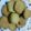 satoring11's cooksnap of when they made ✿生姜と紅茶のサクサククッキー.