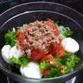 Rena★Cook's cooksnap of when they made 長いもとシーチキンのさっぱりサラダ.
