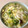 YuMy84's cooksnap of when they made 白菜と生姜入りの餡かけ風煮込みうどん.