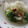 kyoko＊k's cooksnap of when they made 簡単～♪白菜ロールのポトフ風.