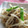 ariatowa's cooksnap of when they made 超簡単！！もやしのお茶漬け炒め.