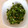 ちむりんｗ's cooksnap of when they made さっぱり☆ねぎ塩だれ.