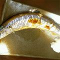 かなちょん☆☆'s cooksnap of when they made 秋刀魚の塩麹漬け焼き.