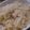 かぼすレモン's cooksnap of when they made しらすの炊き込みご飯。.