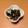 くりぱんマン's cooksnap of when they made わかめとツナの中華風和え物.