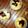 わんろっく's cooksnap of when they made 抹茶のヘルシー餡ケーキ.
