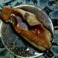 単！！'s cooksnap of when they made 赤魚(切り身魚)の煮付け.