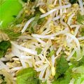 三毛三毛's cooksnap of when they made 給料日前にど～ぞ♪　簡単☆もやし酢.