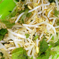 三毛三毛's cooksnap of when they made 給料日前にど～ぞ♪　簡単☆もやし酢.