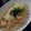 バウンド's cooksnap of when they made 海老と白菜のお醤油パスタ.
