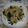 aiaimogmog's cooksnap of when they made もやしツナ炒め～山椒風味.