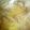 フミジ's cooksnap of when they made １人ランチに*中華風にゅうめん.
