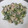 hinokimama's cooksnap of when they made 【大根葉のツナマヨ和え】簡単！美味しい！.