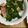 大王イカ's cooksnap of when they made つるムラサキとベーコンの炒め物.