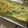 miyuki12's cooksnap of when they made お弁当にも☆もやしと卵のお好み焼き風.