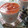 まんぷくまる's cooksnap of when they made いちごムース.