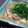 MIYA缶's cooksnap of when they made しらたきと椎茸のたまごとじ.