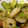 mio1114's cooksnap of when they made えびとアボカドのカレー炒め.